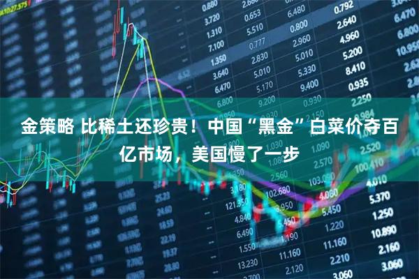 金策略 比稀土还珍贵！中国“黑金”白菜价夺百亿市场，美国慢了一步